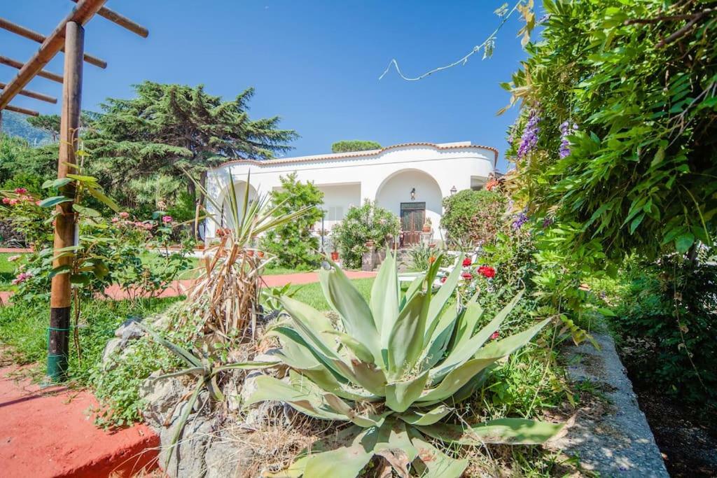 Villa Antica Casamicciola Terme Exterior foto